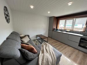 a living room with a gray couch and a table at Nicas guest house in Liepāja