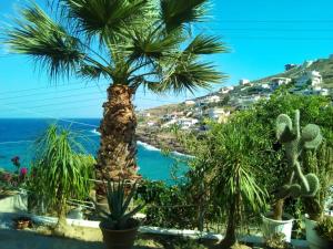 Táj Show holiday homes közelében