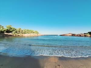 Príroda v okolí apartmánu
