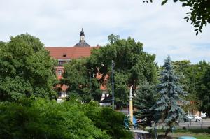 Fotografia z galérie ubytovania Charming Spacious Apartment v Krakove