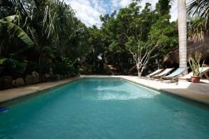 una piscina con sedie a sdraio e palme di Totem Buenavista a Bacalar