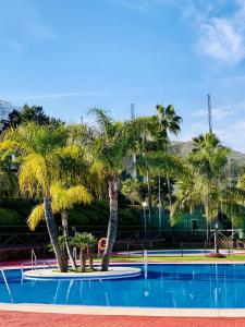 uma piscina com palmeiras e uma bola de voleibol em CT 209 - Navigolf Penthouse - La Cala de Mijas em La Cala de Mijas