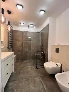 a bathroom with a shower and a toilet and a sink at Loft Premium Apartments in Łódź