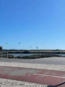 een groep vogels die in de lucht boven een strand vliegen bij Casa Fermar in Esposende