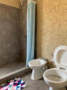 un baño con inodoro y ducha en Departamento LOFT Centrico, en San Rafael