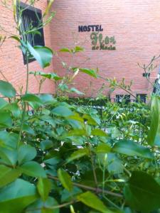 Foto de la galería de Hostel Flor de Maria en São Paulo