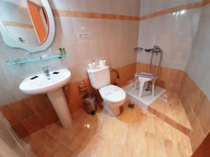 ein Badezimmer mit einem WC, einem Waschbecken und einem Spiegel in der Unterkunft Mitho Hotel Spa in Loutra Edipsou