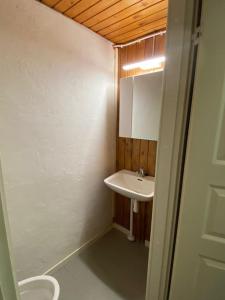 een kleine badkamer met een wastafel en een toilet bij Saunallinen iso omakotitalo in Kotka