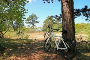 a bike is parked next to a tree at ZeeBedStay in Noordwijk aan Zee