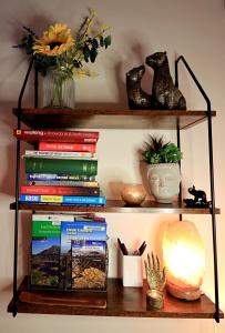 a shelf with books and other items on it at Luxurious Riverside Cottage in Snowdonia National Park in Tanygrisiau +21 photos