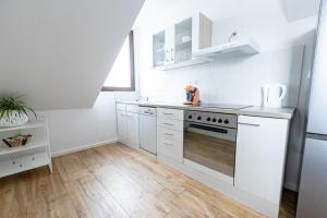 Kuchyň nebo kuchyňský kout v ubytování 568 Plagwitz Apartment Kulturviertel + 12 fotografií