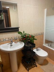 La salle de bains est pourvue d'un lavabo, de toilettes et d'un miroir. dans l'établissement ALAMEDA 5, à Oviedo