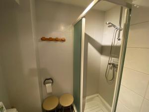 ラ・クリュサにあるStudio La Clusaz, 1 pièce, 2 personnes - FR-1-459-84のトイレの隣にガラスドア付きのシャワーが備わります。