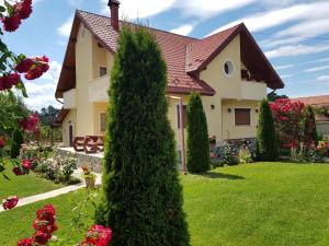 a house with a tall tree in a yard at Vila Grecu in Copăcel