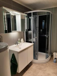 La salle de bains est pourvue d'une douche et d'un lavabo. dans l'établissement Kleines Haus am Fjord, 