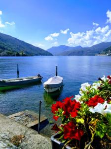 Brusino ArsizioにあるCasa Doraの花の咲く湖に船が停泊している