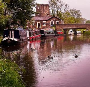 a group of ducks swimming in a river with boats at 'Mill Cottage' Parbold in Parbold