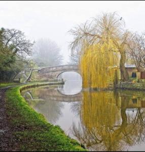 a bridge over a river with a tree in the water at 'Mill Cottage' Parbold in Parbold