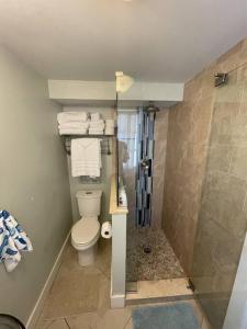 a bathroom with a toilet and a shower with towels at Cozy Beach Rental 1B/1B in St Pete Beach