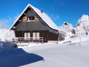 una cabaña en la nieve con árboles nevados en La cabane au pied des pistes, en Chastreix