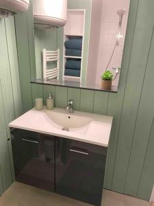 ein Bad mit einem Waschbecken und einem Spiegel in der Unterkunft Vaste Appartement Rénové - Centre Ville in Bourg-en-Bresse