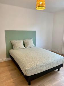 a bed with two pillows on it in a bedroom at Vaste Appartement Rénové - Centre Ville in Bourg-en-Bresse