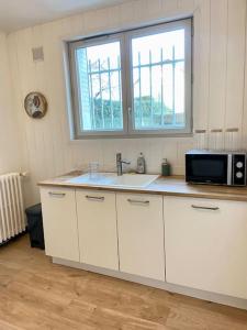 eine Küche mit einer Spüle und einer Mikrowelle in der Unterkunft Vaste Appartement Rénové - Centre Ville in Bourg-en-Bresse