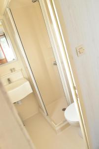 a bathroom with a shower and a toilet and a sink at La foret des hérissons in Longessaigne