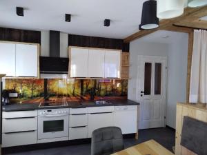 Kuchyňa alebo kuchynka v ubytovaní Martins Comfort Appartement