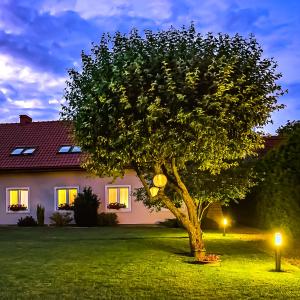 un árbol delante de una casa por la noche en Pokoje Nowakowscy en Łeba