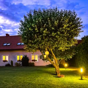 a tree in front of a house at night at Pokoje Nowakowscy in Łeba