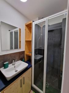 a bathroom with a sink and a shower at Appartement 2/4 pers Le Cosy in Lons-le-Saunier
