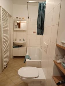 bagno bianco con servizi igienici e lavandino di Ferienwohnungen Berg & See a Döbriach
