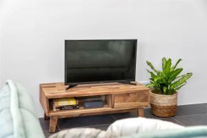 uma televisão de ecrã plano num suporte de madeira com uma planta em Brand new Two Bedroom Apartment at the Water em Kralendijk