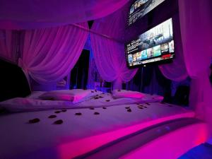 ein rosafarbenes Zimmer mit 2 Betten und 2 Monitoren in der Unterkunft Anadi Hotel Boutique in Braşov