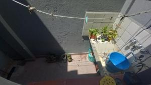 una vista aérea de un baño con plantas y un aseo en Departamento Amplio 3 ambientes - Belgrano en Buenos Aires