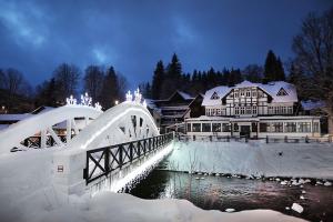 Apartment Na Skále CLOSE TO CITY CENTER & SKI LIFT ziemā