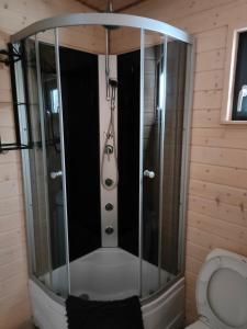 a shower in a bathroom with a toilet at Domki Tręby Stare in Tręby +44 photos