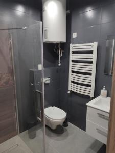 een badkamer met een toilet en een glazen douche bij Szare Miraże in Busko-Zdrój
