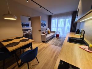 Kuchyňa alebo kuchynka v ubytovaní Apartament D2 Karpatia - 5D Apartamenty
