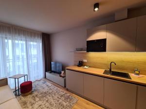Kuchyňa alebo kuchynka v ubytovaní Apartament D2 Karpatia - 5D Apartamenty