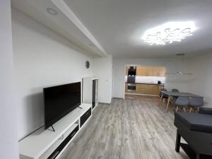 維斯特克的住宿－Apartment Golden Prague 78，客厅配有大屏幕平面电视