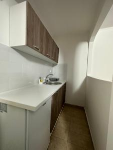 a small kitchen with a sink and wooden cabinets at Garsoniere Aby in Turnu Măgurele
