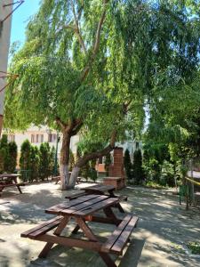 a group of picnic tables under a tree at Garsoniere Aby in Turnu Măgurele