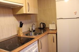 una piccola cucina con lavandino e frigorifero di Apartamento Sauce a Canfranc-Estación