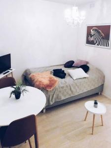 Sala de estar con cama con mesa y mesa en New Studio Zebra near Airport en Vantaa