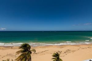 a beach with two palm trees and the ocean at The Tryst Beachfront Hotel in San Juan