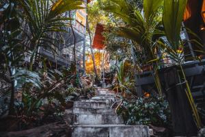 a path through a garden with palm trees at Warehouse Hostel Koh Tao in Koh Tao