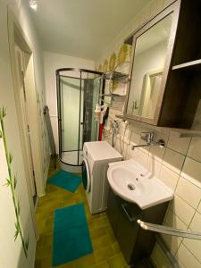 a bathroom with a toilet and a sink and a shower at Ferienhaus Heimberg - Fischach in Fischach