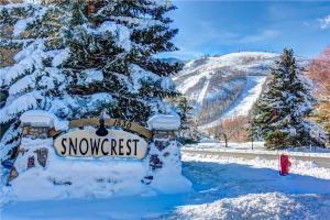 Το SNOWCREST 205 condo τον χειμώνα
